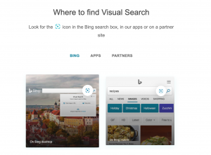 Bing's Visual Search software